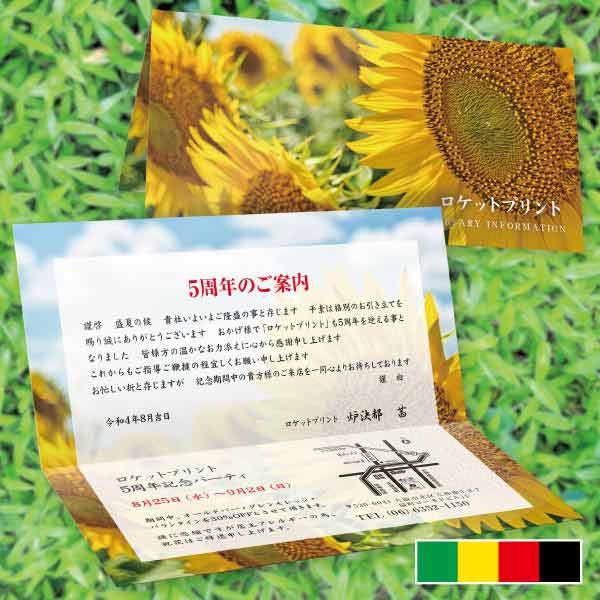 周年記念用・春夏秋冬の季節写真案内状カード