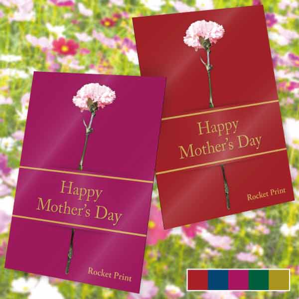 母の日用・一輪の花とリボンメッセージカード