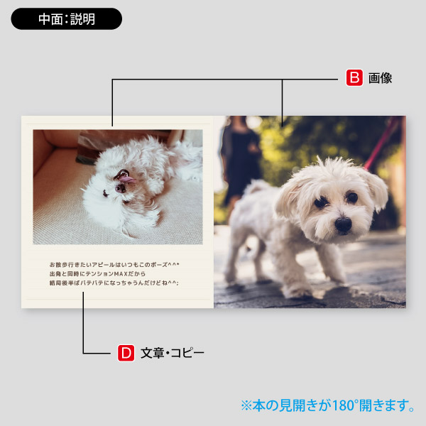 犬写真用アルバム・愛犬の写真集の作成3