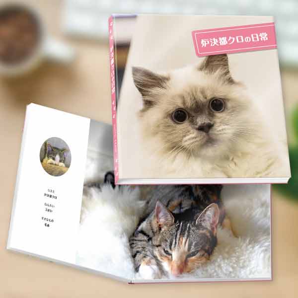 猫写真用アルバム・写真の製本化