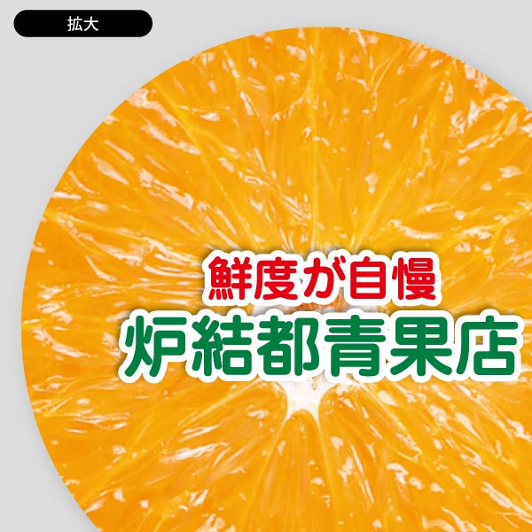 野菜果実ユニーク写真とタイトル11
