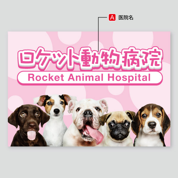 動物病院用・可愛らしい水玉模様と犬の写真10
