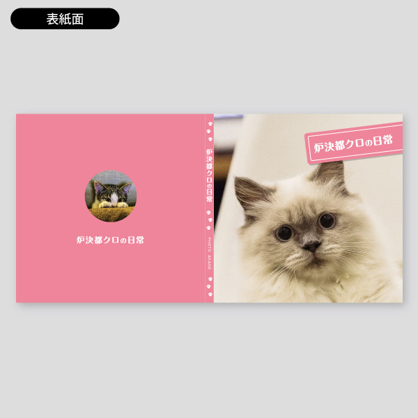 猫写真用アルバム・写真の製本化1