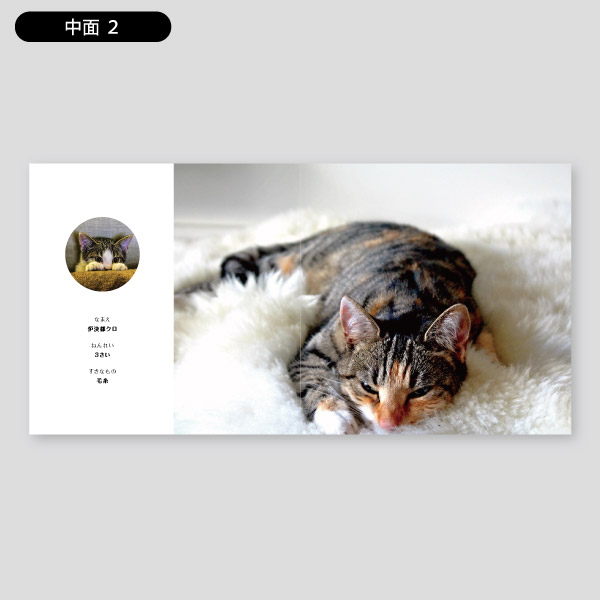猫写真用アルバム・写真の製本化1