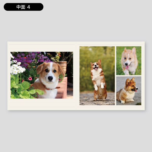 犬写真用アルバム・愛犬の写真集の作成3