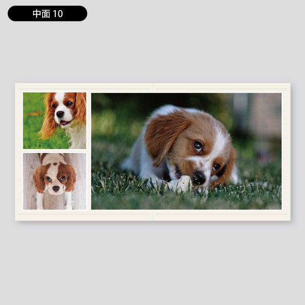 犬や猫写真用アルバム2 フラットフォトブック 印刷のロケットプリント